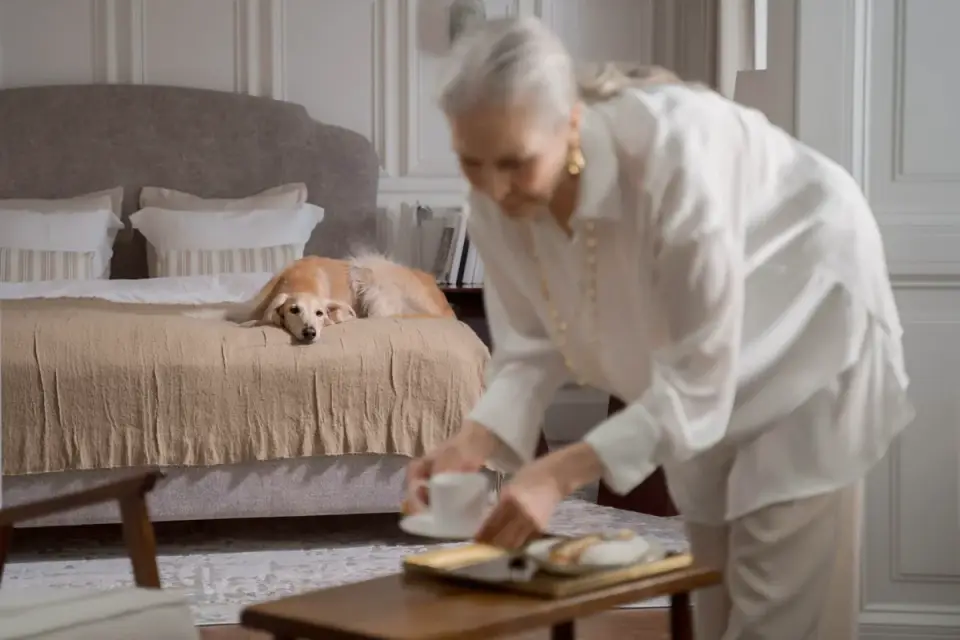 A dog lying on an orthopedic bed with front legs stretched forward