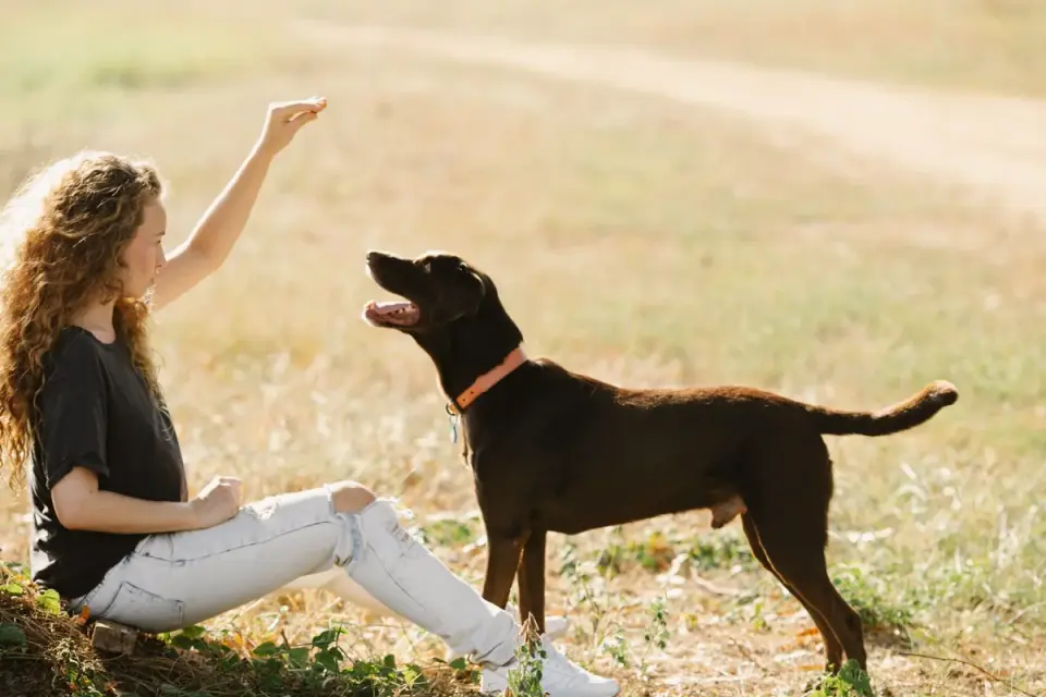 A dog owner offering a chewable supplement to their dog at home