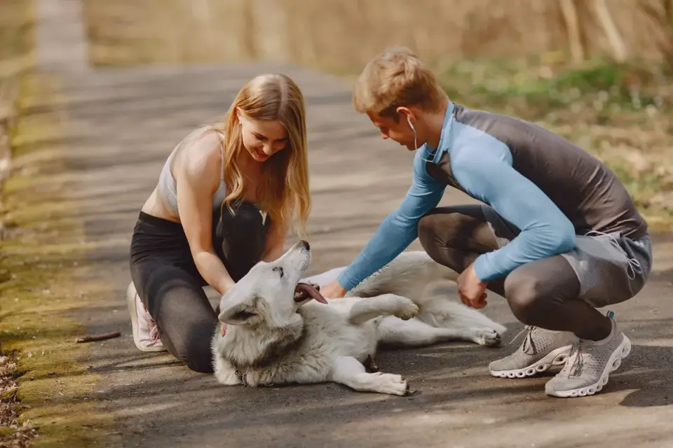 A veterinarian and dog owner examining a supplement bottle label together