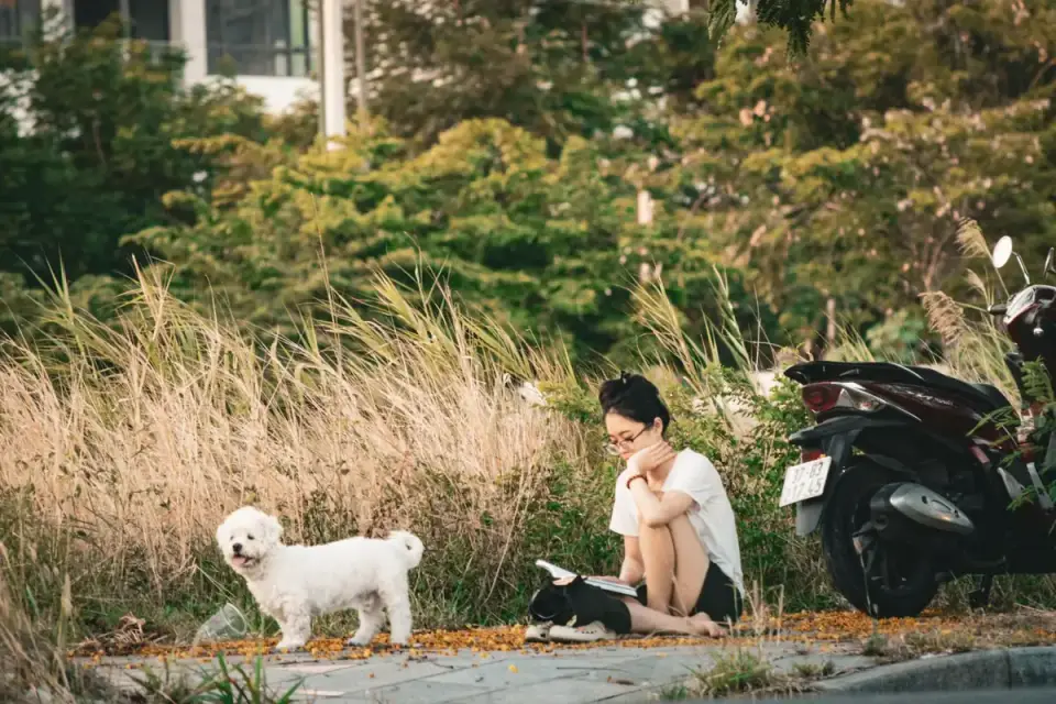A veterinarian examining a pet food ingredient label with a dog waiting nearby