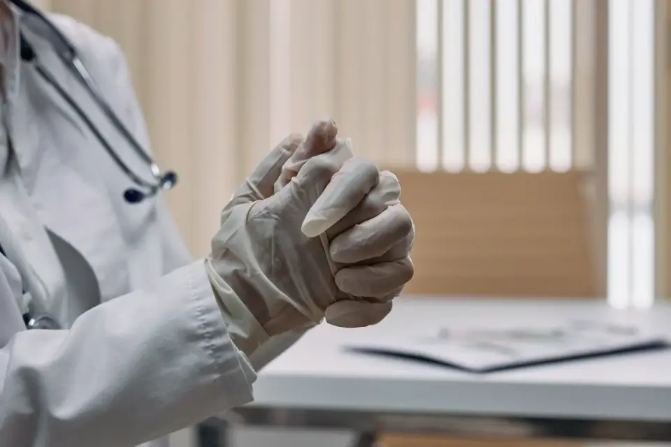 A veterinarian gently palpating a dog&#x27;s abdomen during a routine exam