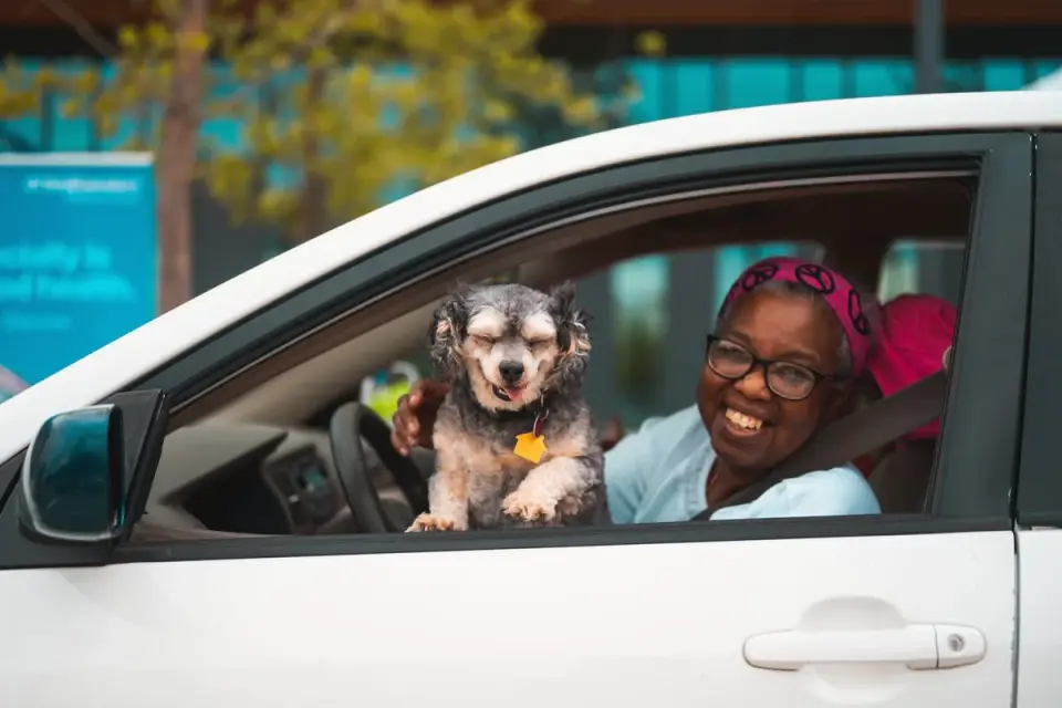 An owner holding a small treat out to a dog near an open car door
