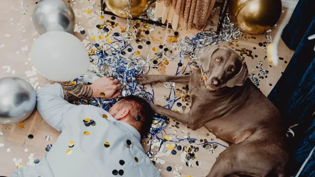 An owner kneeling beside a dog resting on the kitchen floor at night