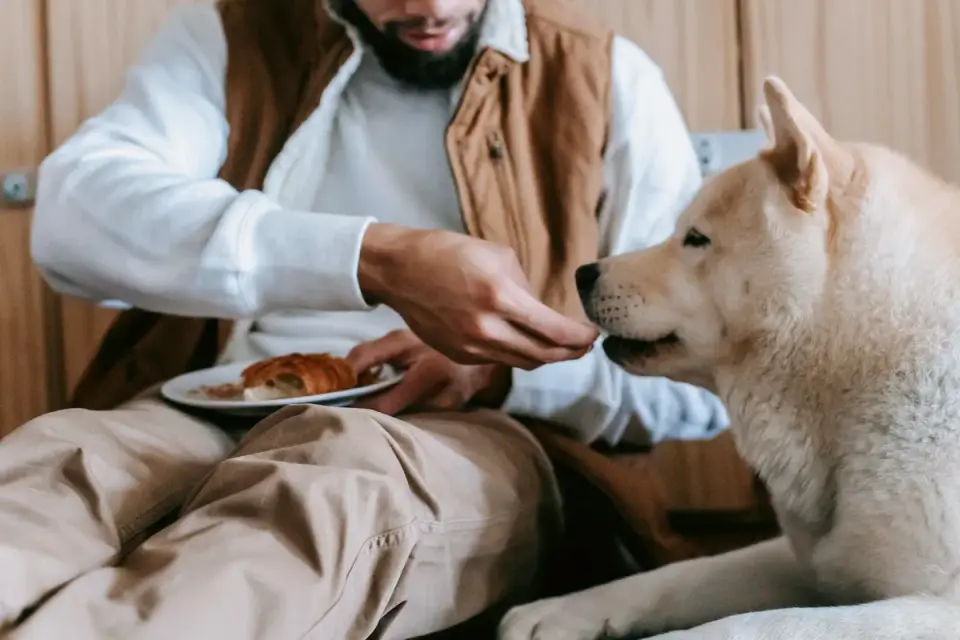Dog eating from a bowl at home