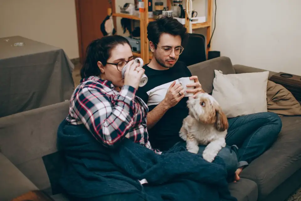 Dog eating from a bowl at home