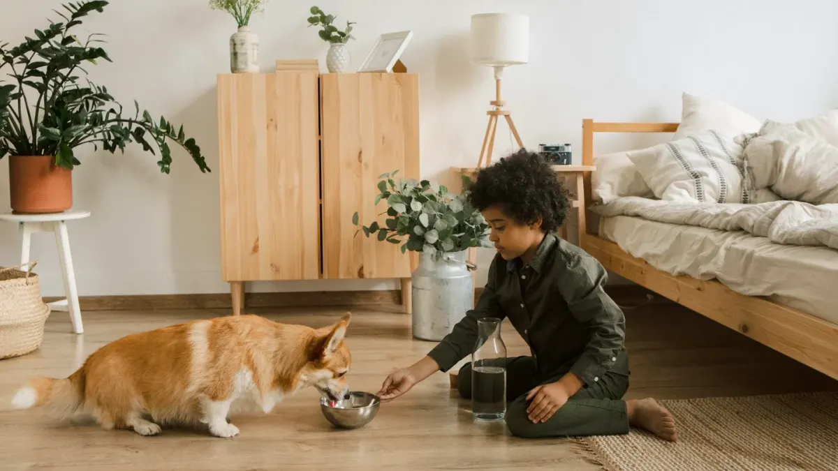 Dog eating from a bowl at home
