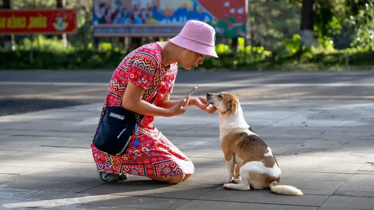 Dog eating outdoors