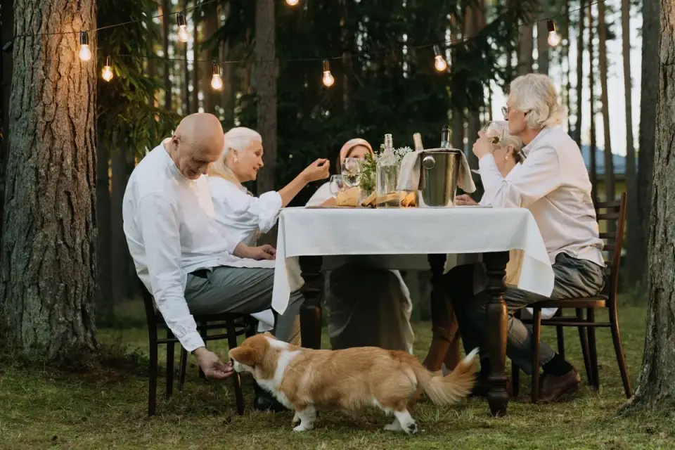 Dog eating outdoors