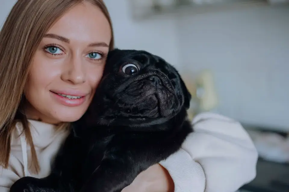 Dog in a kitchen with an owner