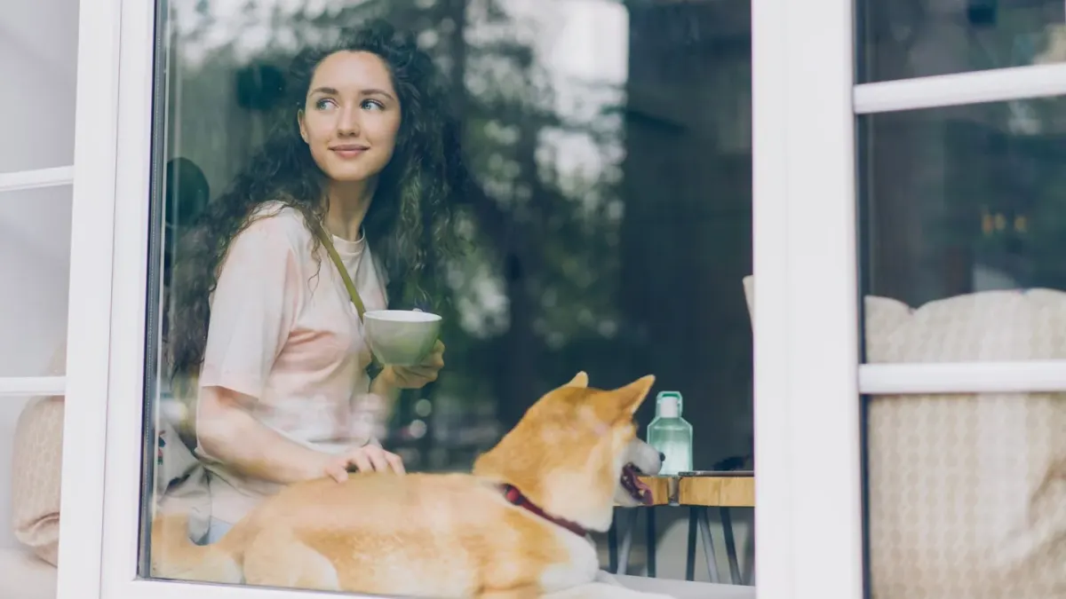 Dog looking at an owner