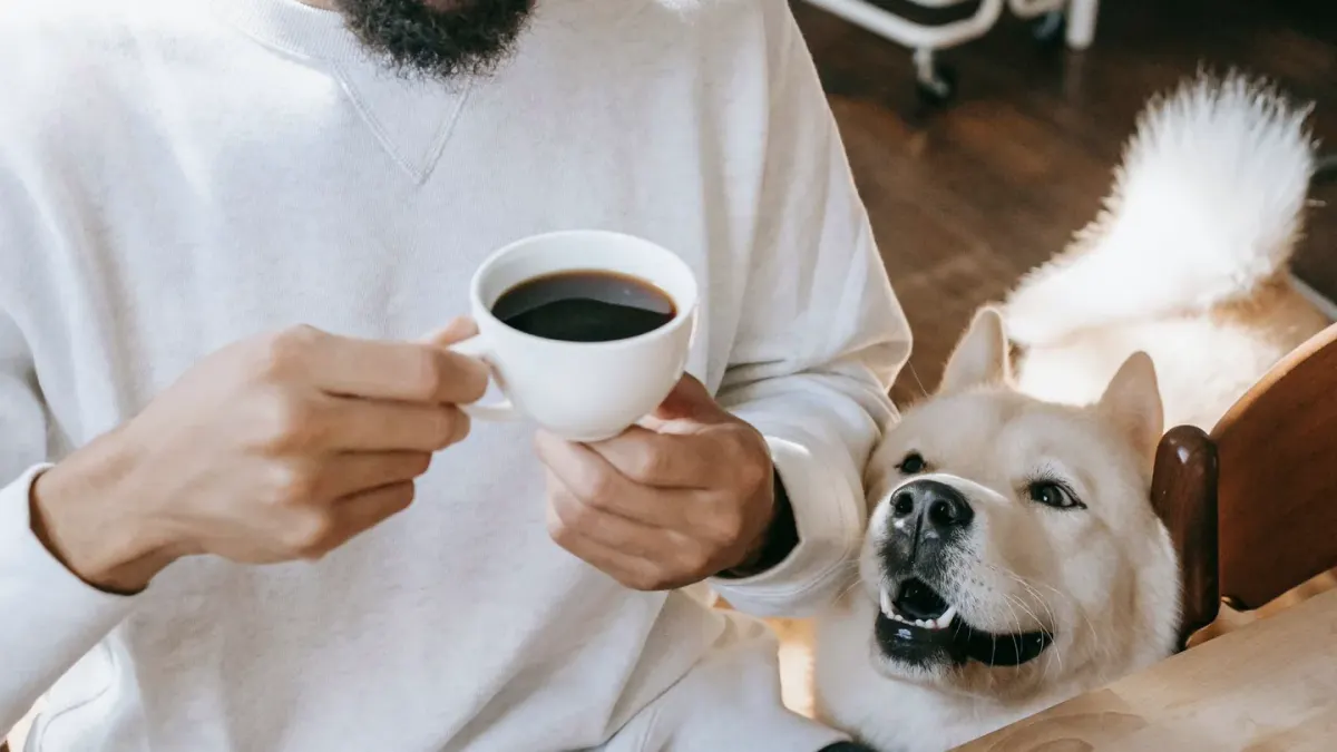 Dog owner preparing a meal