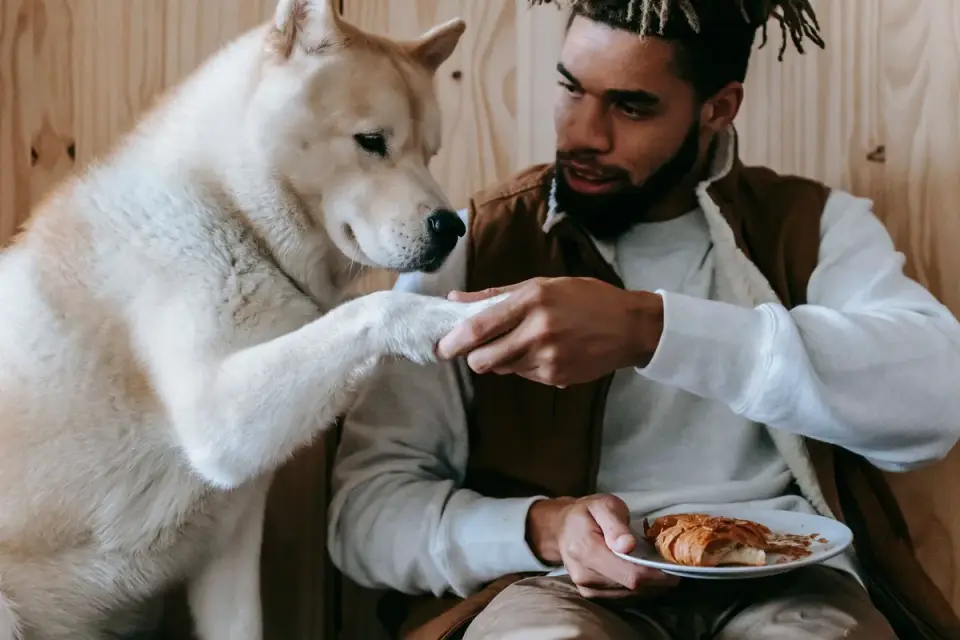 Dog owner preparing a meal