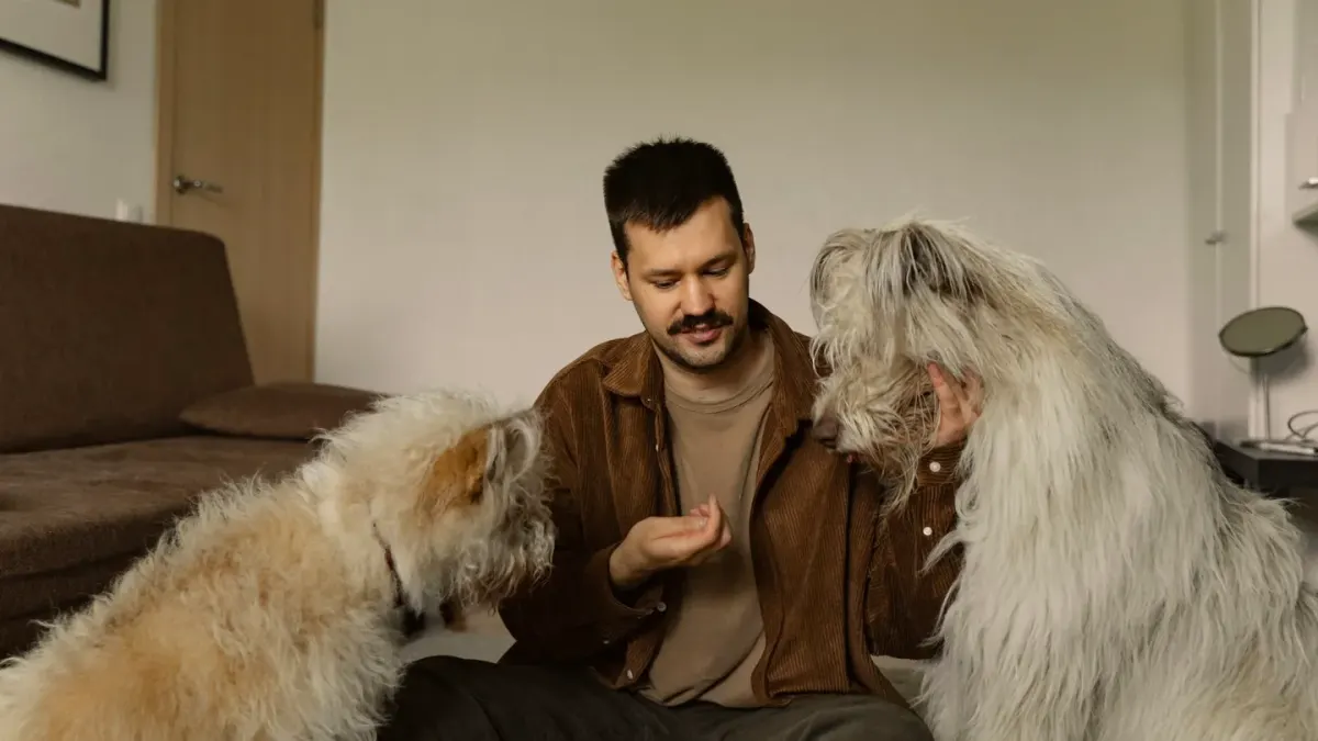 Dog owner preparing a meal
