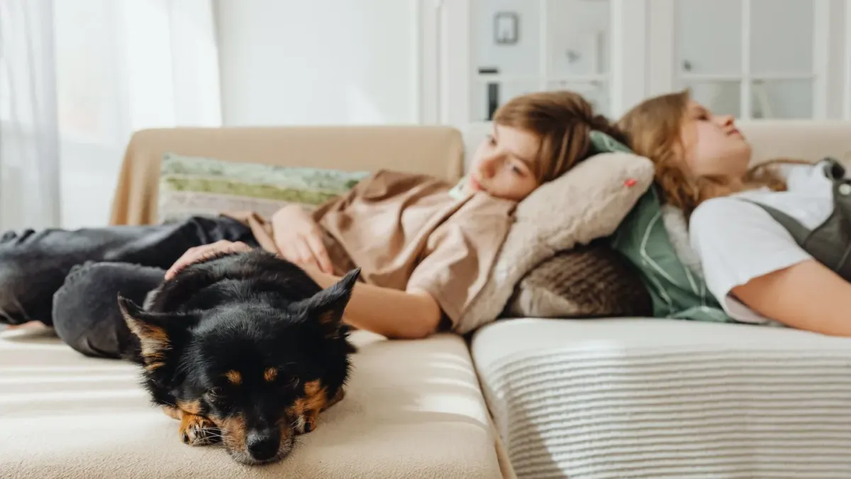 Dog resting beside an owner