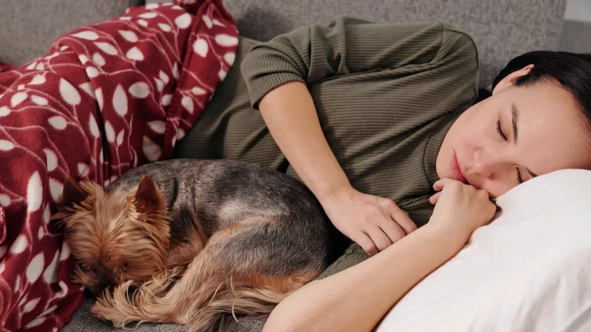 Dog resting beside an owner