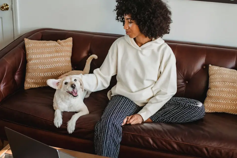 Dog resting beside an owner