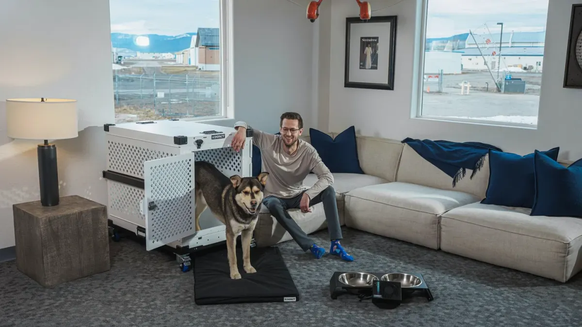 Dog resting beside an owner