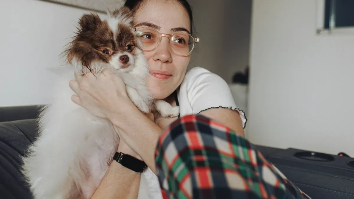 Dog resting beside an owner
