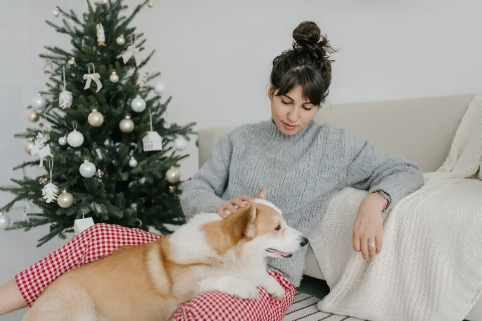 Dog resting beside an owner