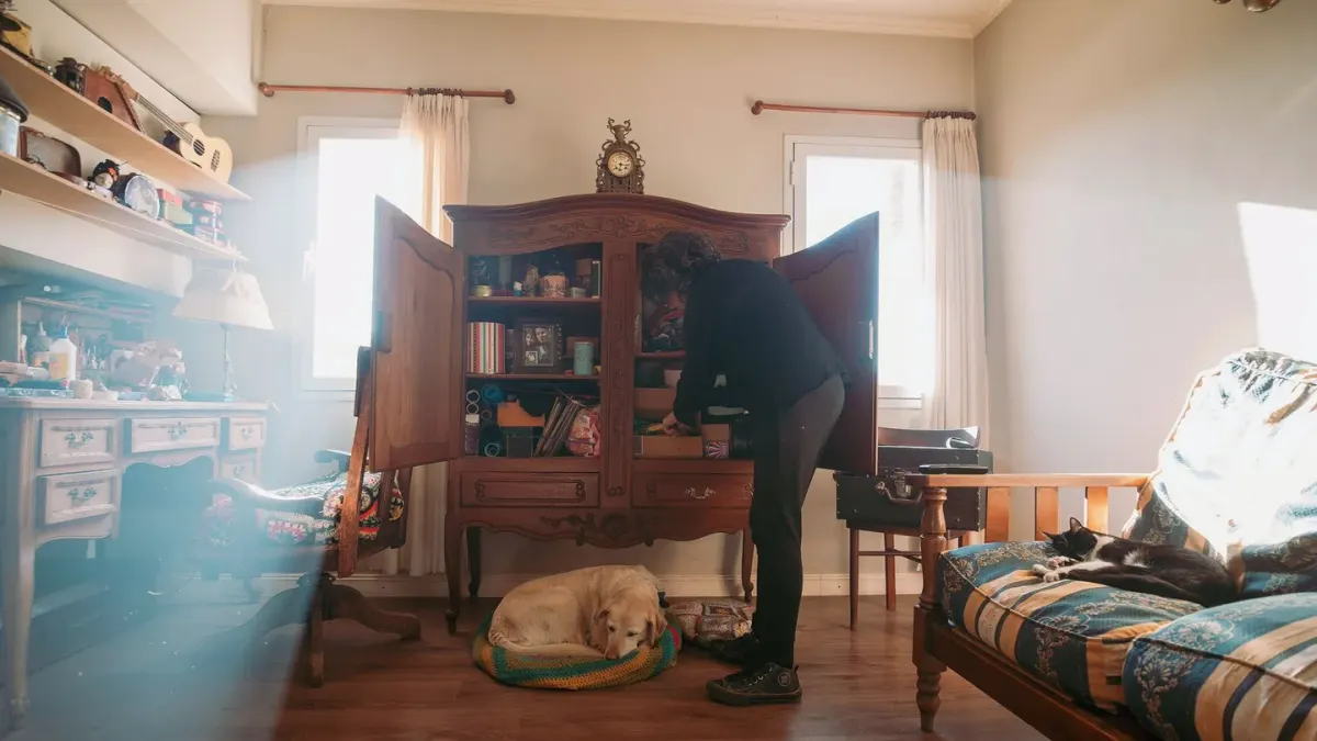 Dog resting beside an owner