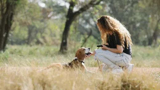Dog sitting beside an owner