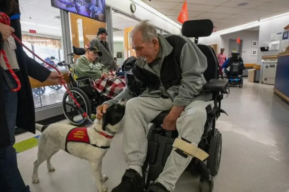 Dog with an owner at home