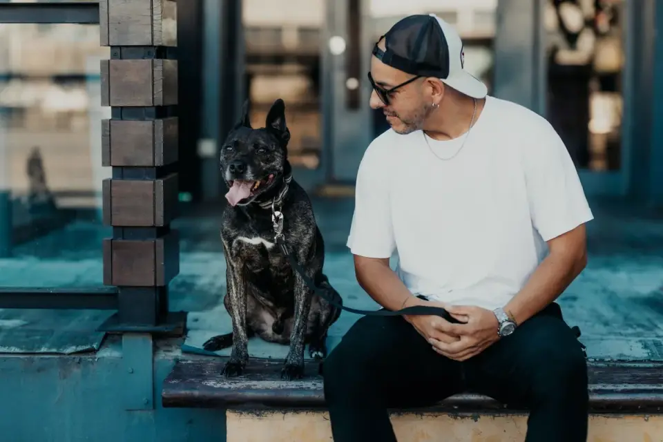Dog with an owner at home