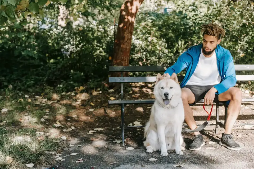 Older dog with an owner in a park