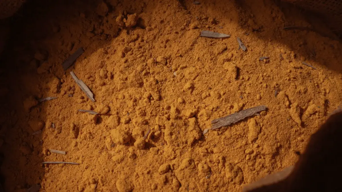 Two small scoops, one holding pale powder and one holding freeze-dried granules, next to a dog bowl